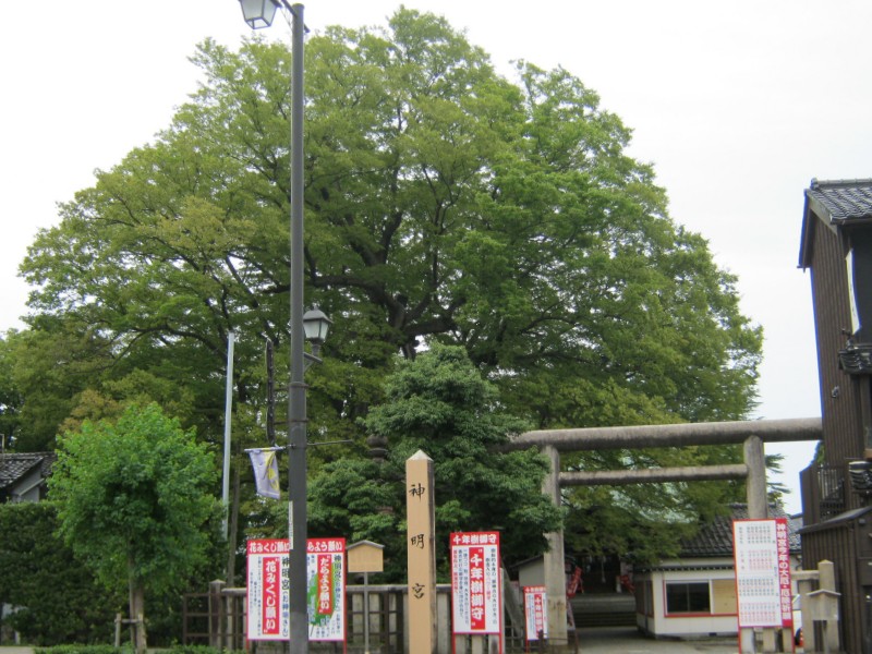 【１３：４０】「神明宮」生家の裏庭に文学仲間は集まる