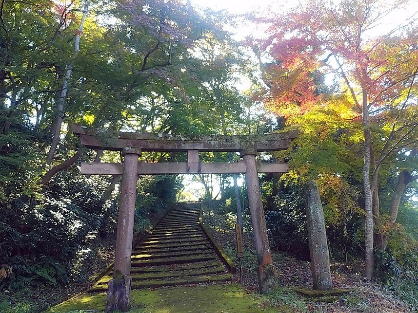 【１４:１０】花菖蒲園を経由して、卯辰山三社（愛宕神社、卯辰山天満宮、豊国神社）を目指します。