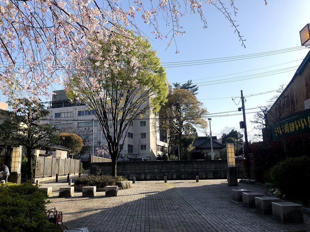 【１２：１５】ランチスポット紹介②「木倉町広場」
