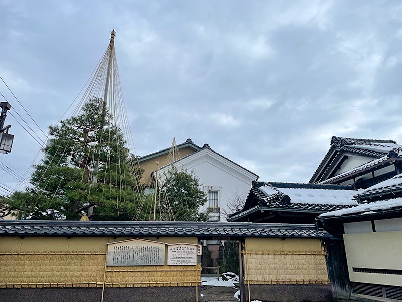 【１０：４５】豪華な屋敷と美しい庭が見応えある「武家屋敷跡 野村家」
